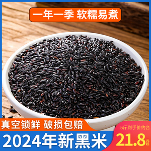 2024年新米东北农家正宗黑米 五谷杂粮商用纯黑香米 打豆浆专用大米批发