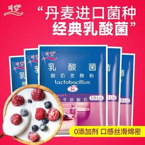 川秀双歧杆菌益生菌酸奶发酵菌粉 自制干噎酸奶发酵剂