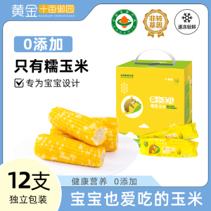 【2025芭芭农场推荐】东北黄金十亩御园黄小主甜糯玉米12支装冷冻