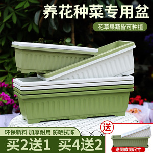 阳台长方形自吸水蔬菜种植盆 户外专用草莓盆栽塑料大花盆