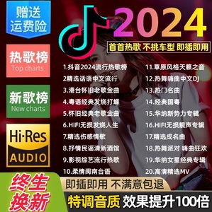 2025新款车载高端音乐U盘 柏林之声无损高品质热歌车用优盘