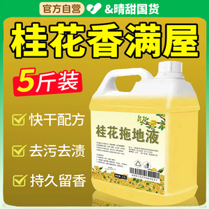 德国进口地板清洁液 持久留香杀菌消毒家用拖地专用花露水
